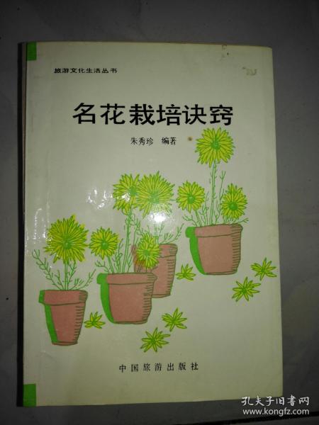 孔夫子舊書網的西域之夢 文化傳播中的數據守望與美學思考